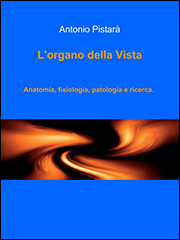 L'organo della vista