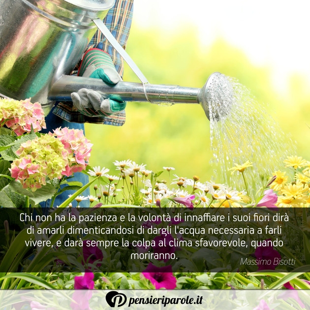 Immagine con frase amore di Massimo Bisotti - Chi non ha la pazienza e la volontà di...