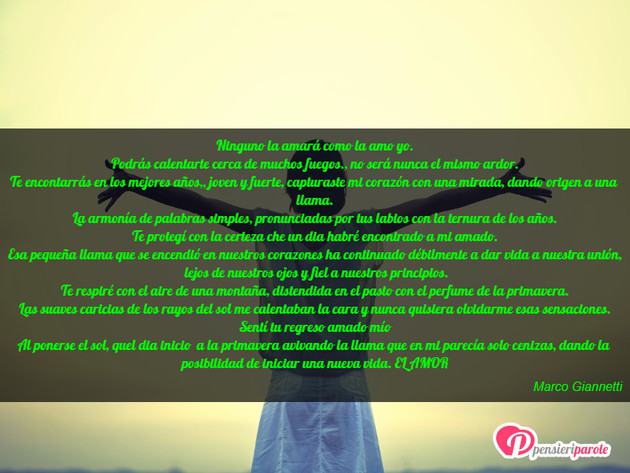 Immagine con poesia lingua straniera di Marco Giannetti - Ninguno la amará como la amo yo. Podrás...