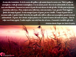 Immagine con frase di Antoine-Marie-Roger de Saint-Exupéry - La mia vita è monotona. Io do la caccia alle...