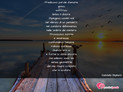 Immagine con poesia poesie personali di Gabriella Stigliano - Predicavo parole d'amore, gioivo, soffrivo...