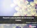 Immagine con frase amore di Floriana Antonelli - Pensarti  come un petalo che mi accarezza l...