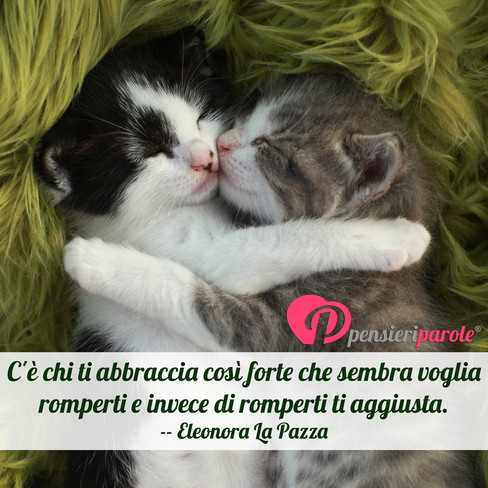 video erotici free amicizia o amore video erotici free amicizia o amore