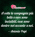 Immagine con frase anima di Antonio Papi - A volte le compagnie pi belle e vere sono...
