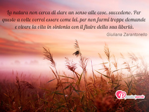 Immagine con frase di Giuliana Zarantonello - La natura non cerca di dare un senso alle cose...