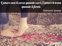 Immagine con frase amore di Giancarlo Iandolo - L'amore non ti cerca quando corri, l'amore ti...