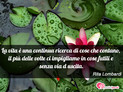 Immagine con frase vita di Rita Lombardi - La vita  una continua ricerca di cose che...