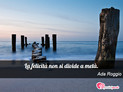 Immagine con frase felicit di Ada Roggio - La felicit non si divide a met.