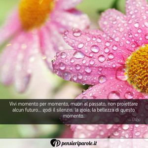 Immagine con frase di Osho - Vivi momento per momento, muori al passato...