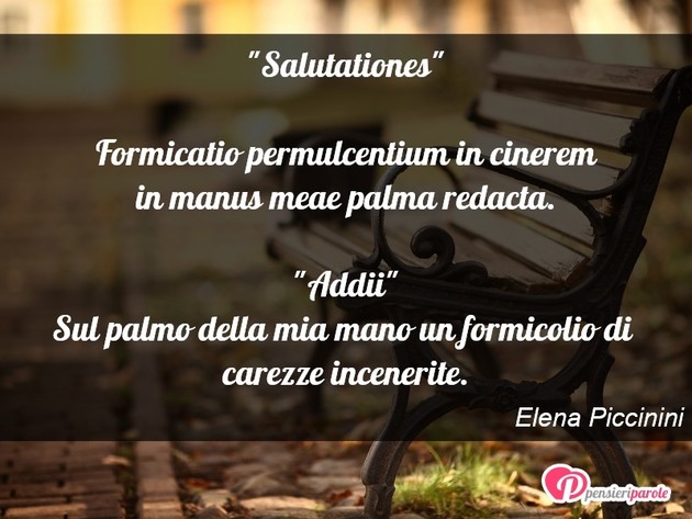 Immagine con frase amicizia di Elena Piccinini -