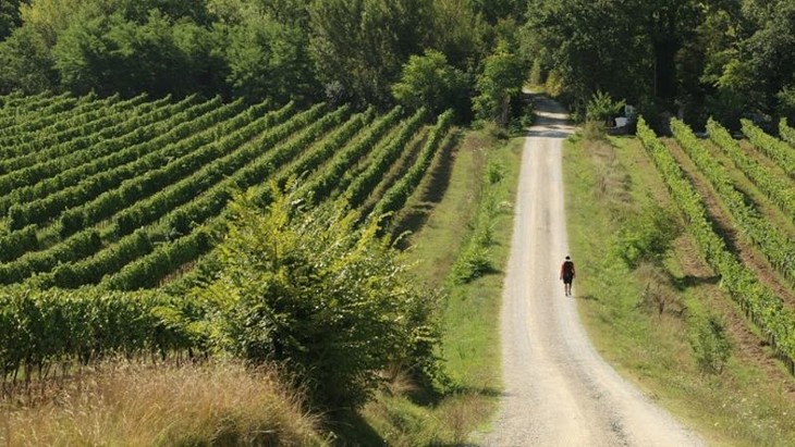 I Volti della Via Francigena - fotogramma