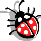 coccinella86
