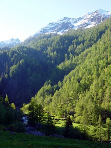 pratodellago