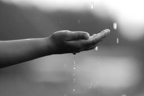 Life Drops
