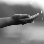 Life Drops