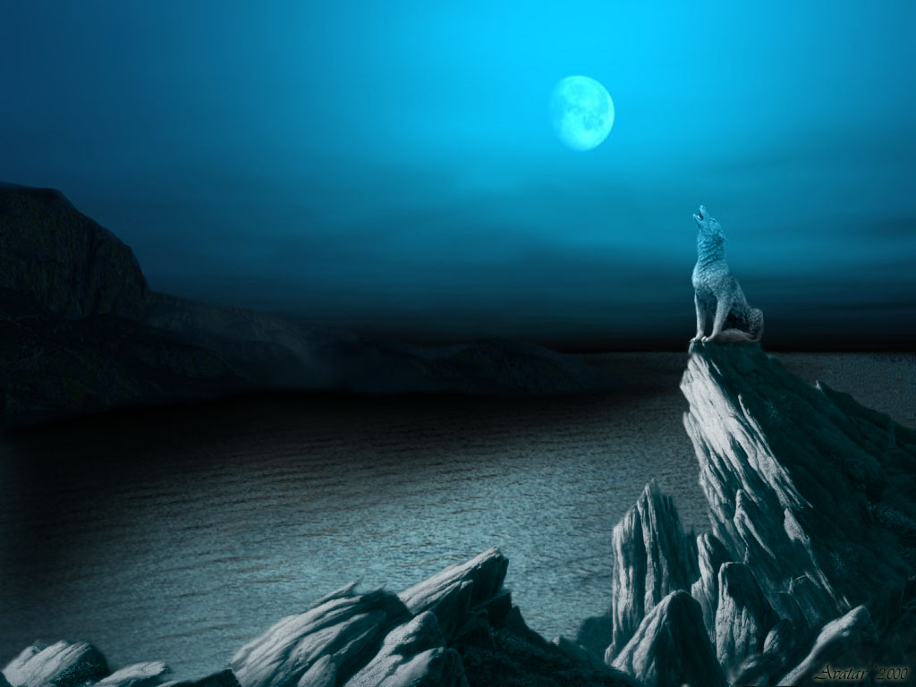 Damon Darkland