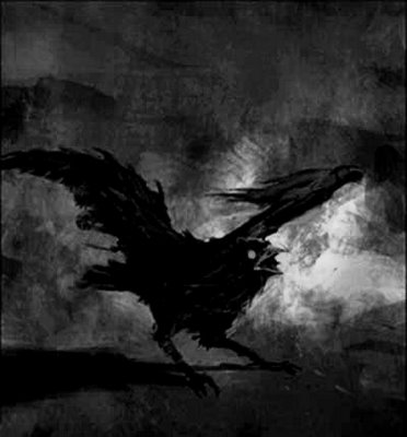 Ombra Nella Notte