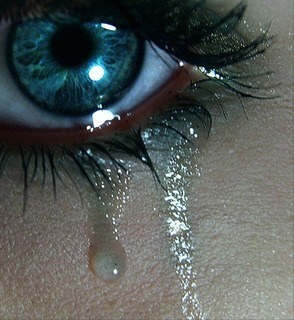 Franci *