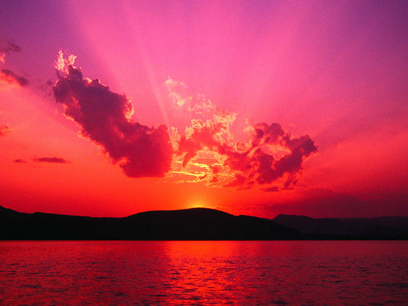 Luce