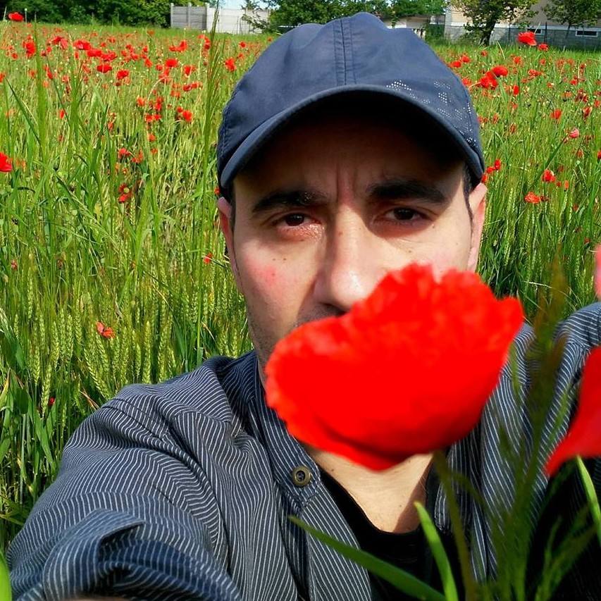Il Menestrello sognatore