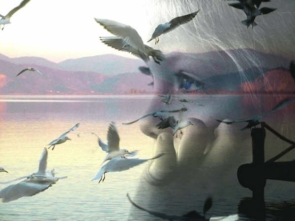 Young Dreamer ...