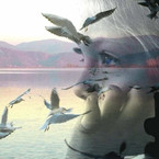 Young Dreamer ...