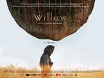 Willow