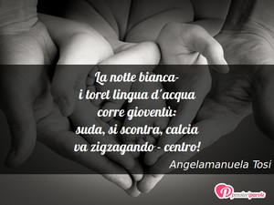 Immagine con frase di Angelamanuela Tosi - La notte bianca- i toret lingua d'acqua corre...