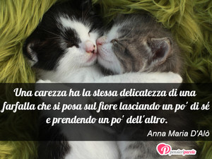 Immagine con frase di Anna Maria D'Al - Una carezza ha la stessa delicatezza di una...