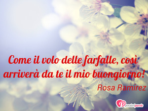 Immagine con frase di Rosa Ramirez - Come il volo delle farfalle, cos arriver da...