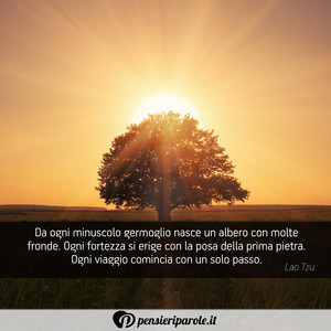 Immagine con frase di Lao Tzu - Da ogni minuscolo germoglio nasce un albero...