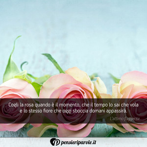 Immagine con frase di  - Cogli la rosa quando � il momento, che il...