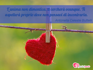 Immagine con frase di Antonella Celeste Buttelli - L'anima non dimentica, ti cercher ovunque. Ti...