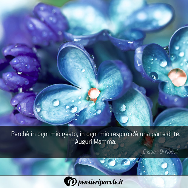 Immagine con augurio auguri per la festa della mamma di Cristian Di Napoli - Perch in ogni mio gesto, in ogni mio respiro c...