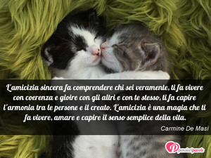Amicizia - Immagine con frase di Carmine De Masi - L'amicizia sincera fa comprendere chi sei...