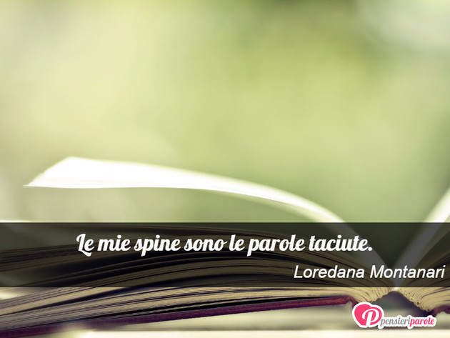 Immagine con frase silenzio di Loredana Montanari - Le mie spine sono le parole taciute.