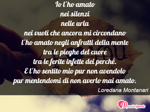 Immagine con frase di Loredana Montanari - Io l'ho amato nei silenzi nelle urla nei vuoti...