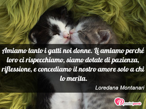 Immagine con frase di Loredana Montanari - Amiamo tanto i gatti noi donne. Li amiamo...