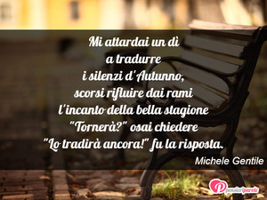 Immagine con frase di Michele Gentile - Mi attardai un d a tradurre i silenzi d...
