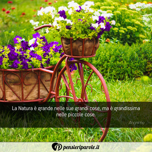 Immagine con frase di Anonimo - La Natura  grande nelle sue grandi cose, ma ...