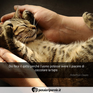 Immagine con frase di Robertson Davies - Dio fece il gatto perch l'uomo potesse avere...