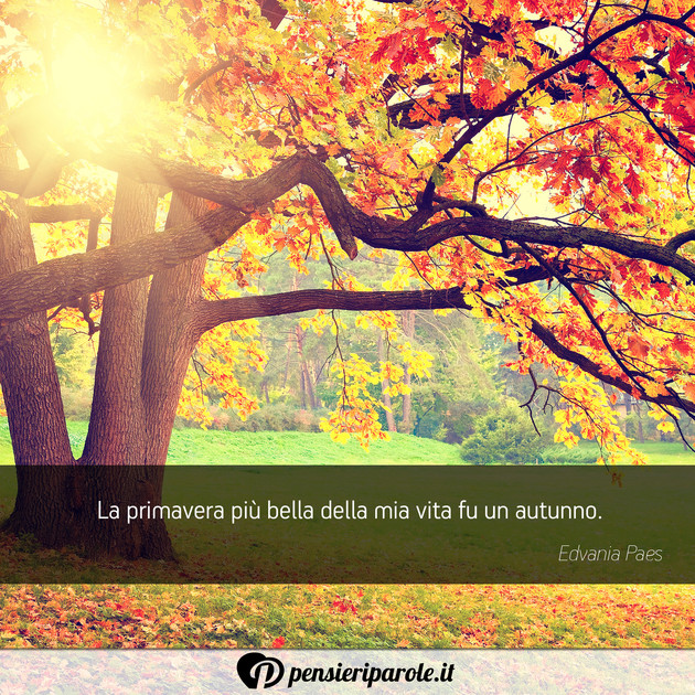 Immagine con frase ricordi di Edvania Paes - La primavera pi bella della mia vita fu un...
