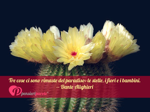 Immagine con frase di Dante Alighieri - Tre cose ci sono rimaste del paradiso: le...