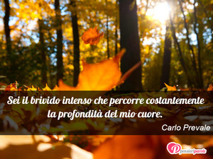Immagine con frase di Carlo Prevale - Sei il brivido intenso che percorre...