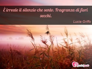 Immagine con frase di Lucia Griffo -  irreale il silenzio che sento. Fragranza di...