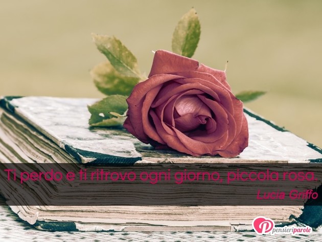  - Ti perdo e ti ritrovo ogni giorno, piccola rosa.