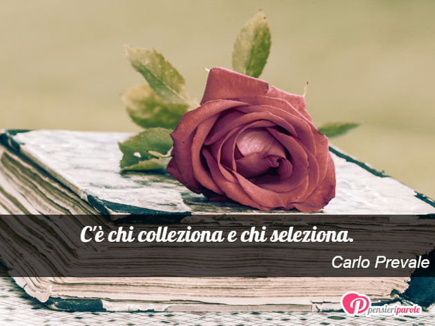 Immagine con frase comportamento di Carlo Prevale - C' chi colleziona e chi seleziona.