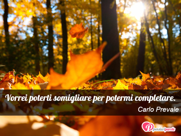 Immagine con frase desiderio di Carlo Prevale - Vorrei poterti somigliare per potermi completare.