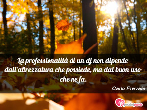 Immagine con frase di Carlo Prevale - La professionalit di un dj non dipende dall...