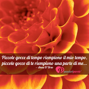 Immagine con frase di Anna D'Urso - Piccole gocce di tempo riempiono il mio tempo...